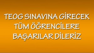 teog-ozder-basrilar-112014